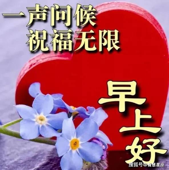 原创6月8日清晨早上好问候大家的祝福经典语句最美的早上好动态图片