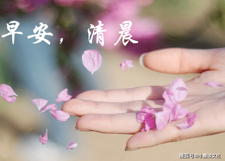 朋友圈最温馨的早安心语:爱着,就是幸福;遇着,就是温暖.