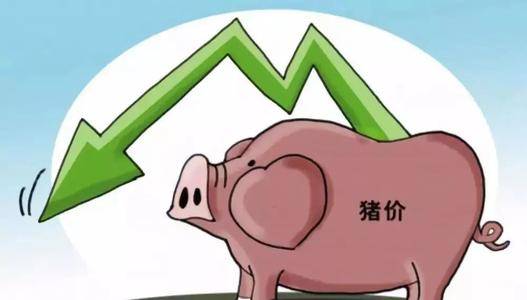 猪肉价格"雪崩", 猪企量价齐跌,寒冬已至?