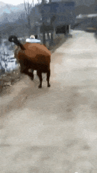 搞笑gif: 太完美了,原来一字马美女照片都是这样拍的