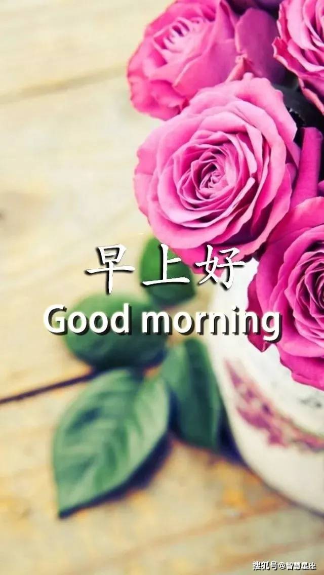 6月5日周六特别漂亮的早上好祝福美图 早安问候暖句子
