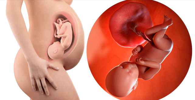 怀孕7-9个月胎儿进入猛涨期,7大注意孕妈牢记,别给娃生长拖后腿