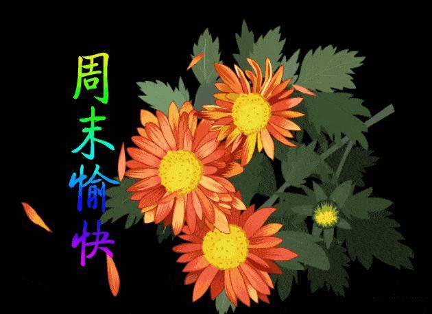 2021端午节安康问候祝福图片 端午节问候祝福语图片精选