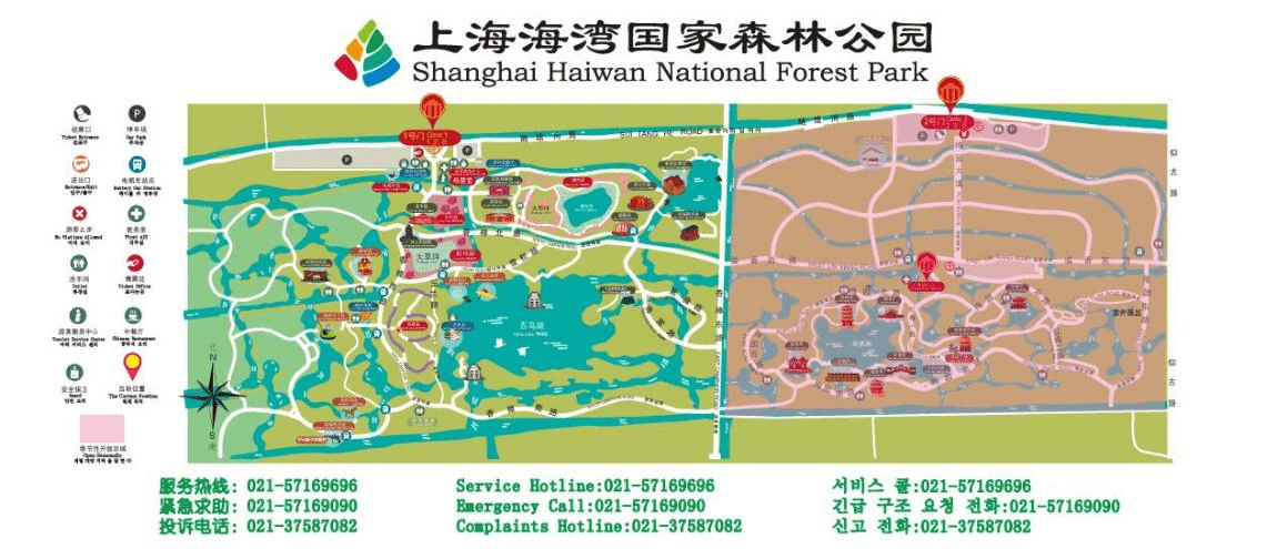 节假日消遣旅游的好地方——上海海湾国家森林公园