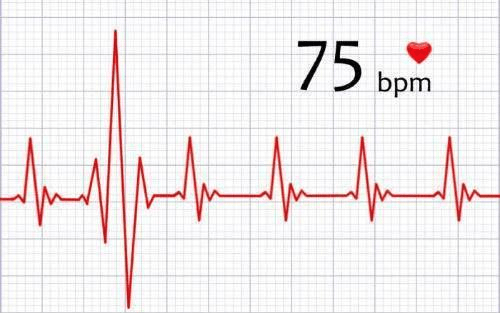 原创人的心跳低于每分钟50次,会有危害吗?看完你就有数了