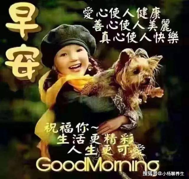 周末早上好阳光暖心语录带祝福图片,祝早晨快乐