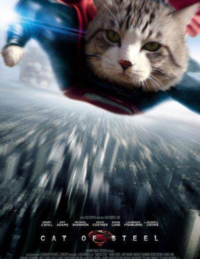 大家好,我是猫咪超人!