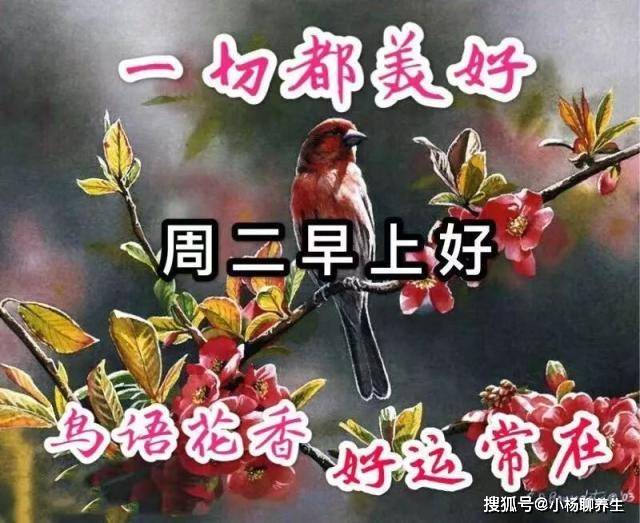 周二清晨早上好温馨祝福语图片,最新版非常漂亮,祝冬日快乐