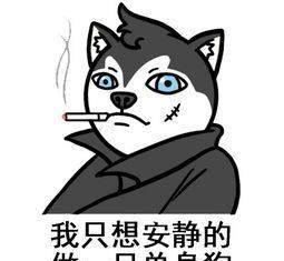 看了这些才知道你根本连狗都不如!