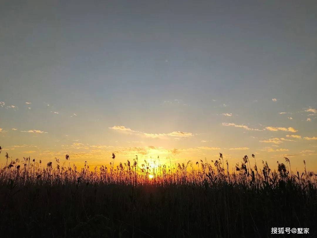 这里有着城市难觅的湖光和落日,今夜的晚风也只属于你自己