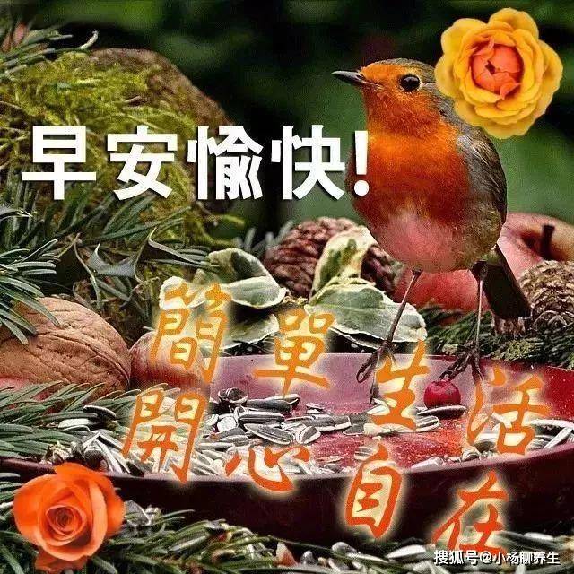 朋友圈最新早安祝福语漂亮图片,愿你开心在今天幸福在