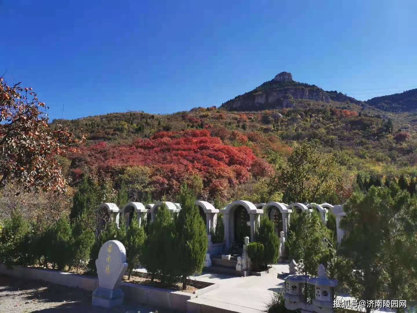 济南—墓地里的风景_慈航园