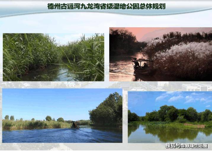 回顾曾经的德州古运河九龙湾湿地公园总体规划