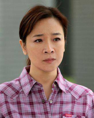 1991年,陈小艺出演电视剧《外来妹》,并获得最佳飞行女主角提名.