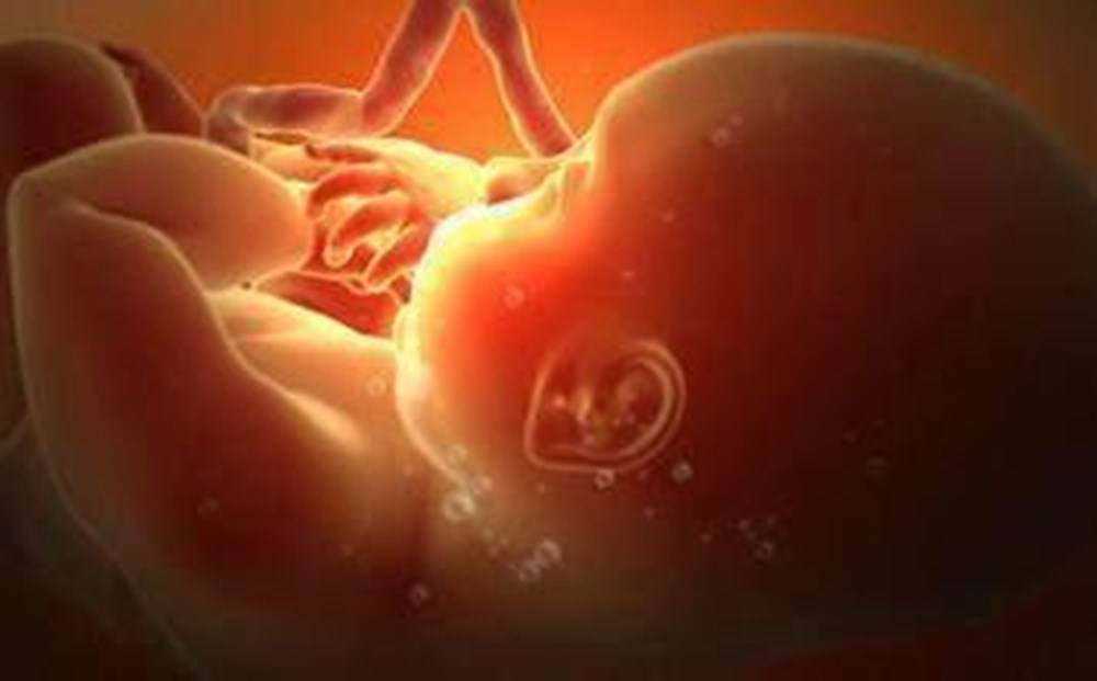 孕肚里“黑乎乎”胎儿会感到无聊吗？看完B超,准妈妈：超乎想象