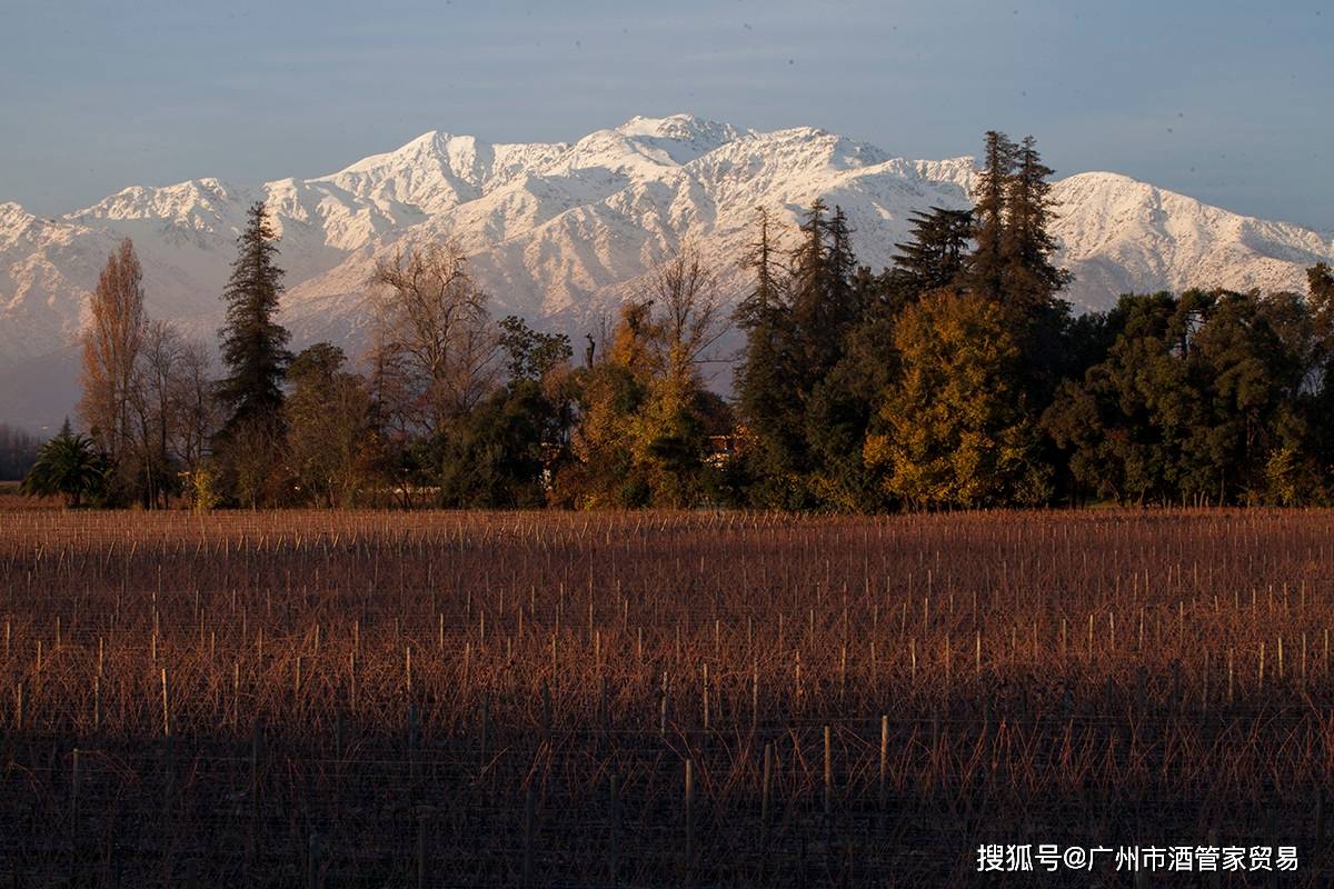 1. 卡萨布兰卡谷(casablanca valley)