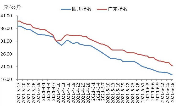 四川,广东猪肉价格运行走势图