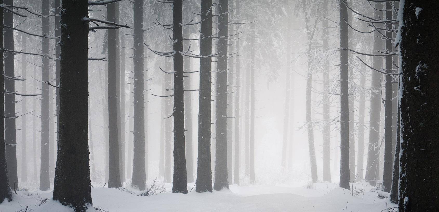 大雪盖地,这样的乡村雪景真的让人乃以忘怀 二哈也出来调皮了