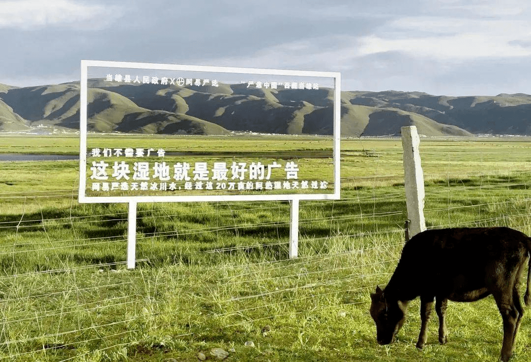 谁能争当创意户外广告之王!