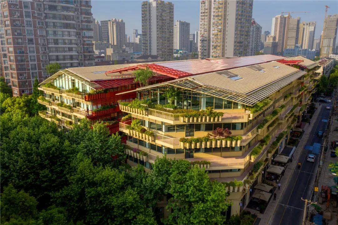 上海- the roof | 一场大胆,生态,超群的城市自然盛宴