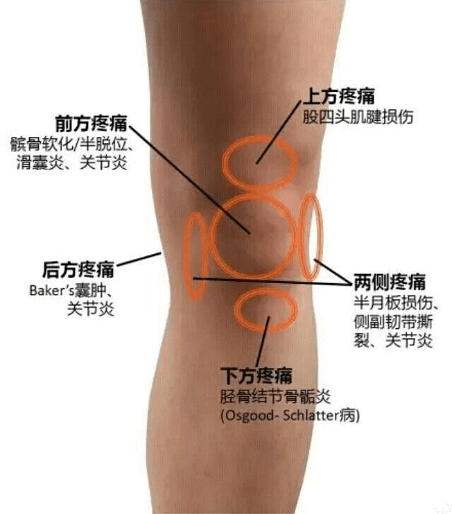 wildfieldhealth |跑步一星期跑几次最合适?