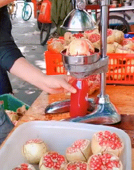 272_343竖版 竖屏gif 动态图 动图
