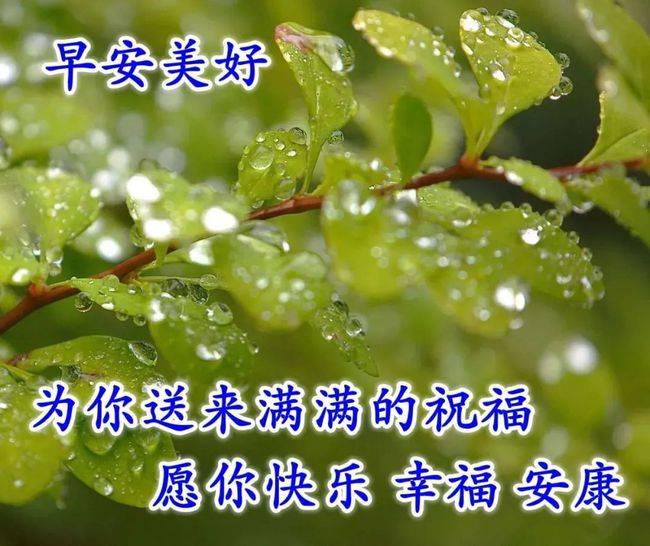 6月28日漂亮夏日风景早上好图片带祝福语 好看的夏天风景朋友圈早安