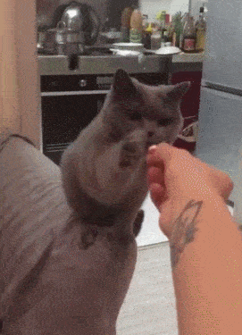 271_375 竖版 竖屏