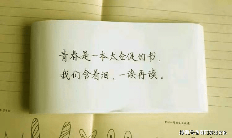 冷漠高傲的个性签名,清新透彻,洒脱不羁爱自由