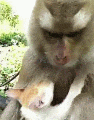 315_404竖版 竖屏gif 动态图 动图