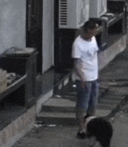 原创小偷行窃先跟狗打招呼,走时狗狗安静目送!警察:这是第四次了