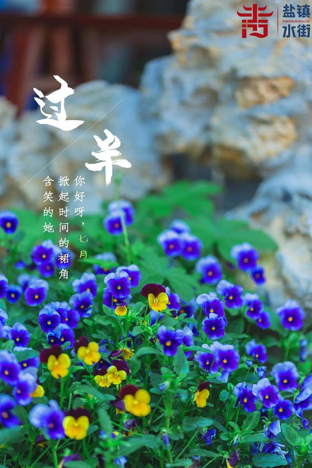 你好,七月 | 含笑间,2021悄然过半