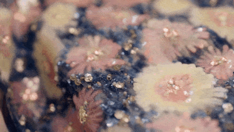 任命在创意工作室负责高级定制服的刺绣部分,直接与lesage刺绣坊合作