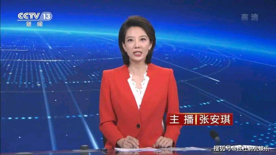 张安琪参赛时为北京电视台的新闻节目主持人,记者,现在是央视新闻