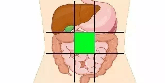左腹部