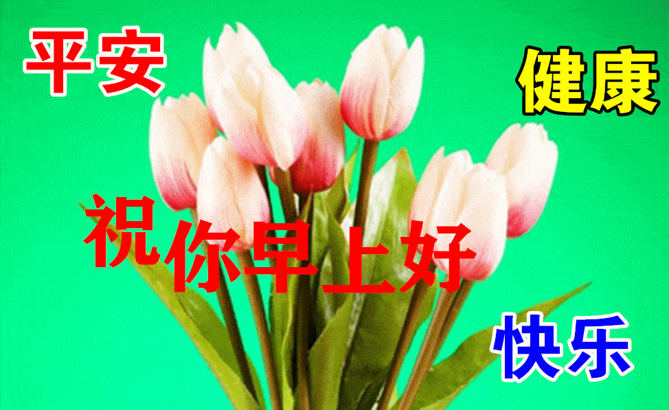 2021年特别好看的夏日创意最美早上好动态表情图片带字和鲜花