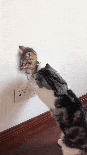 280_499 竖版 竖屏