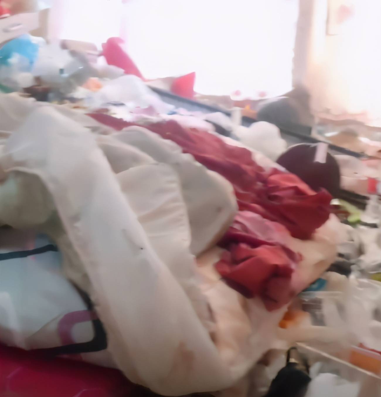 女孩租房留下半墙高垃圾后逃租,房东:她平时穿得很漂亮,将起诉