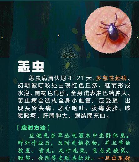 身体上出现一个小红包 但是因为他和家人都没听说过 什么是恙虫病 也