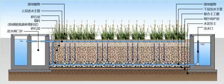 公园将采用下流式预埋微生物垂直流人工湿地方案,利用砾石,人工介质