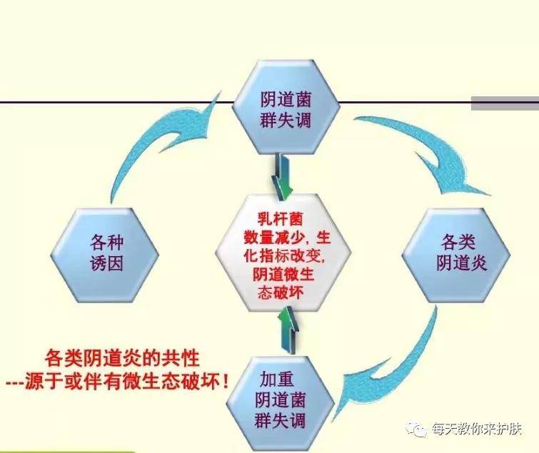 如何才能正确调节阴道菌群守护私处健康