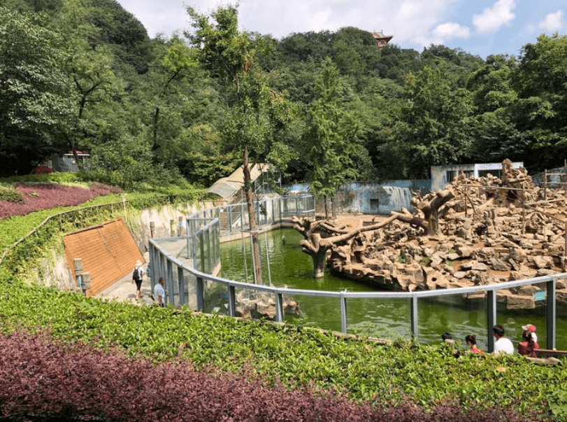 【南京红山森林动物园】动物园行业的"交换空间"
