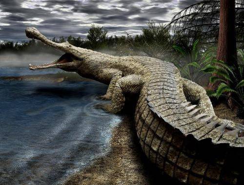 原创世界上"最大"的鳄鱼,体长可达13米,强悍到能与恐龙对抗