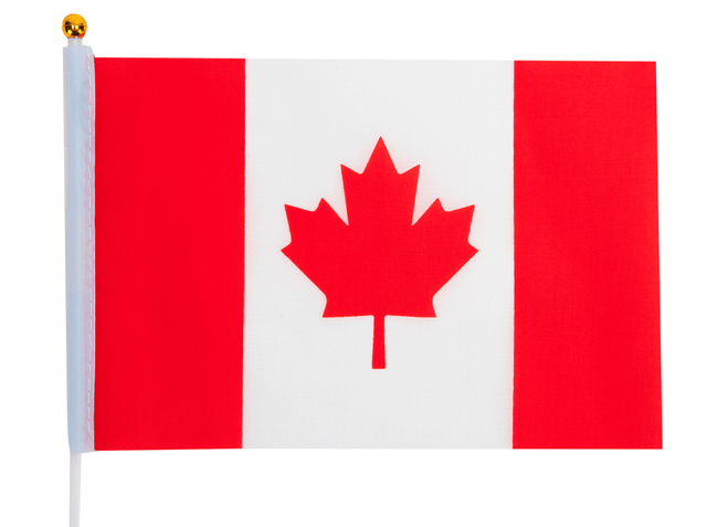 机场将开放:  哈利法克斯国际机场  魁北克国际机场  渥太华国际机场