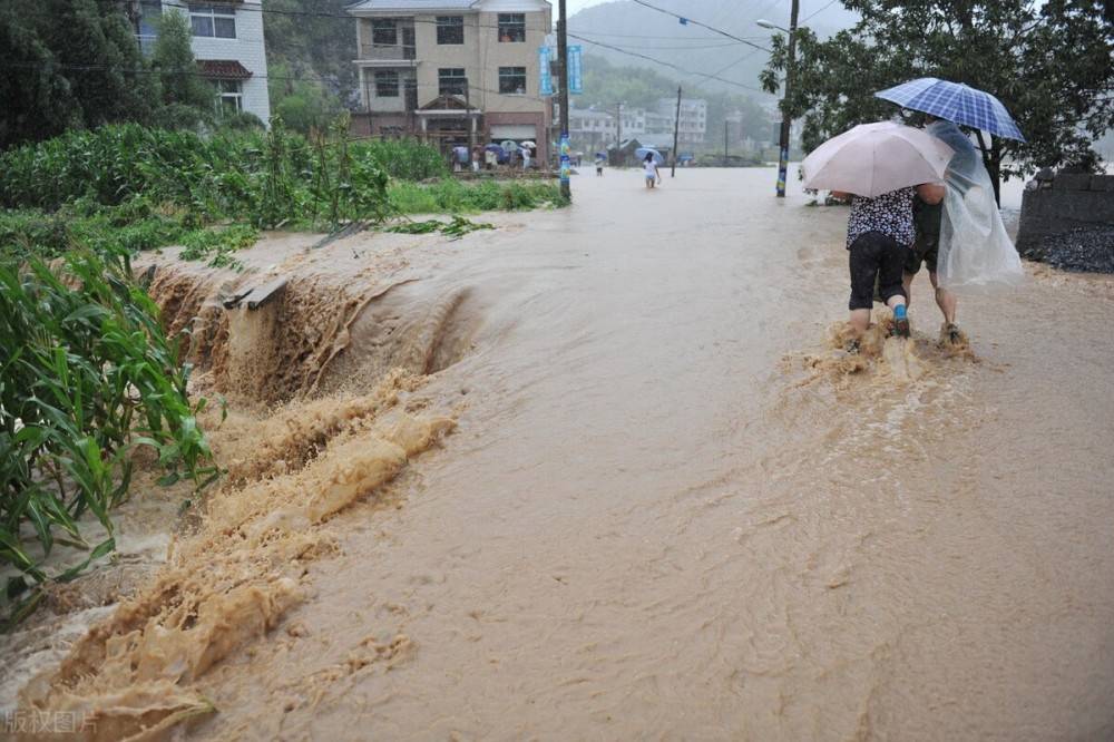 蔬菜,生猪产量占全国近10%,河南暴雨将对通胀产生多大影响?