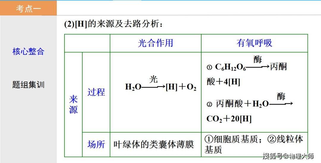 初中生物:光合作用与细胞呼吸知识点详解!