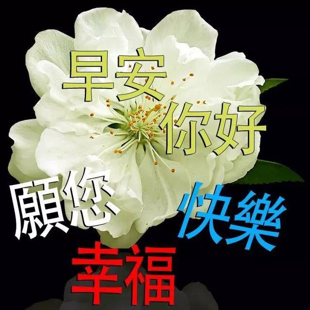 2021年7月24日创意好看的早上好问候祝福图片 免打字早安祝福语图片带