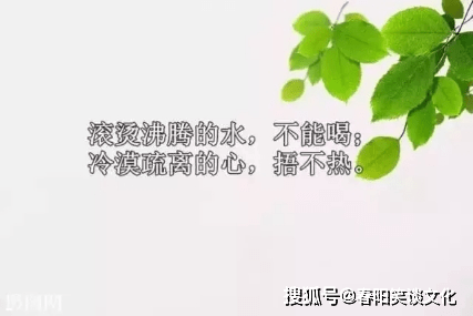 适合深夜发朋友圈的说说句子,精致唯美,触动心灵