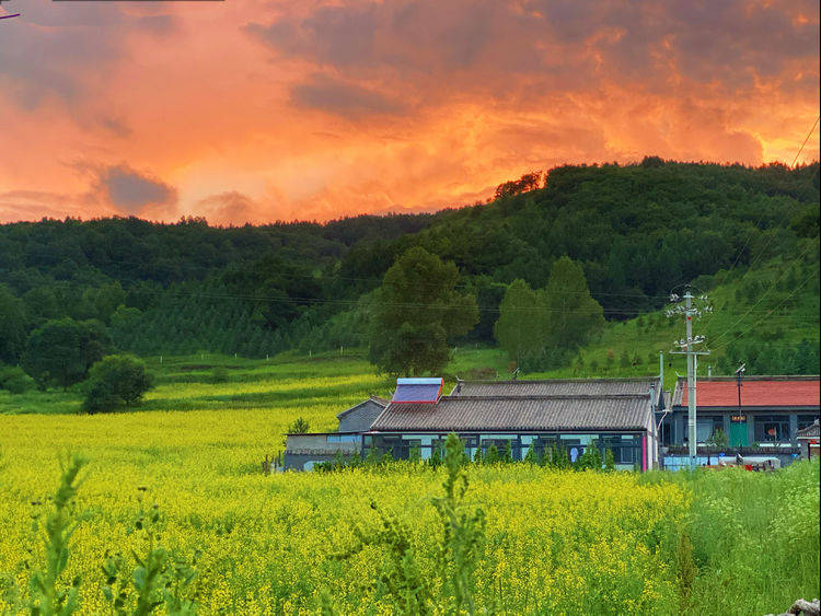 把脱贫致富攻坚与美丽乡村建设紧密结合的八十三号村