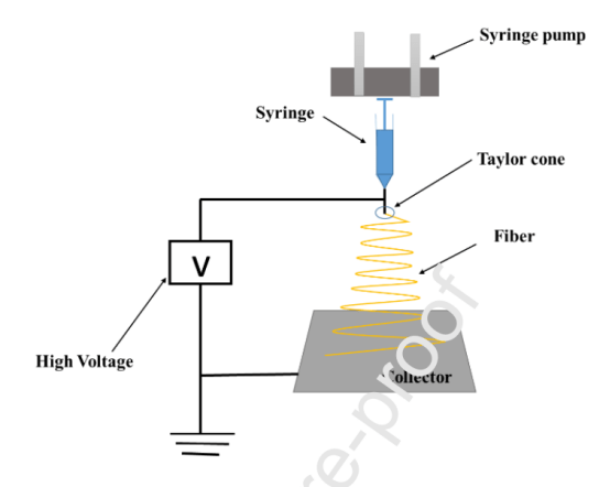 图2.静电纺丝实验装置的示意图.
